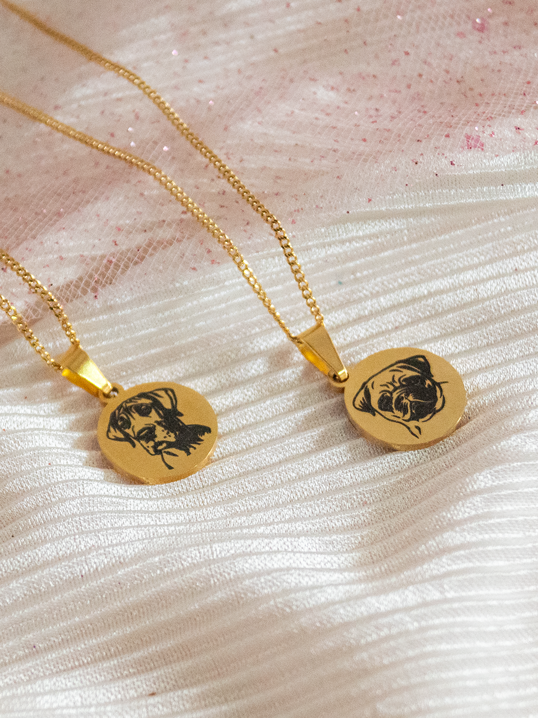 Collar Razas Mi Humano Y Yo