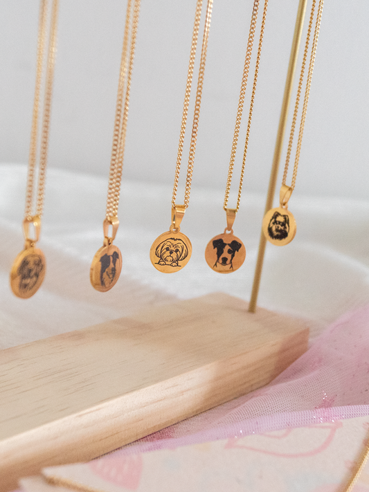 Collar Razas Mi Humano Y Yo