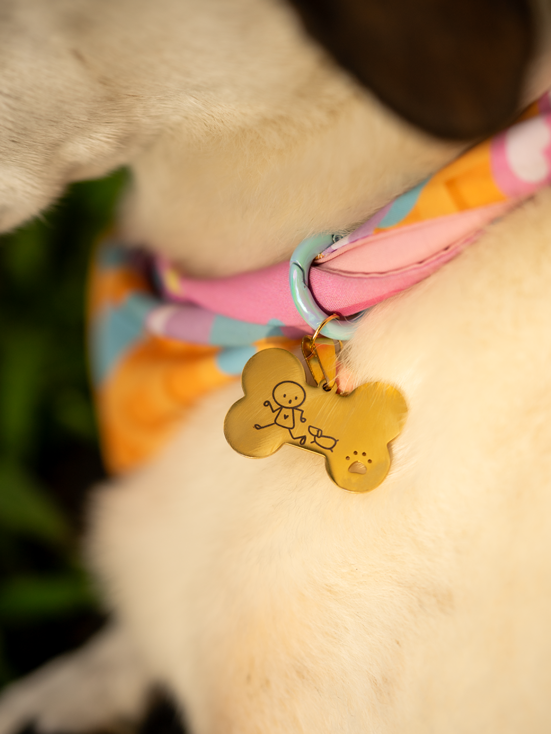 Collar Pet Charm