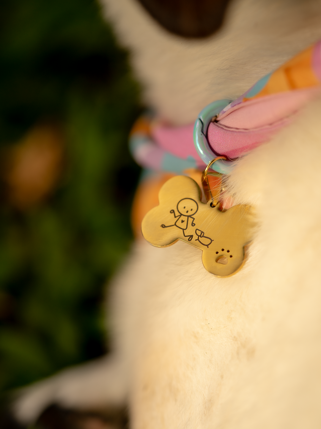 Collar Pet Charm