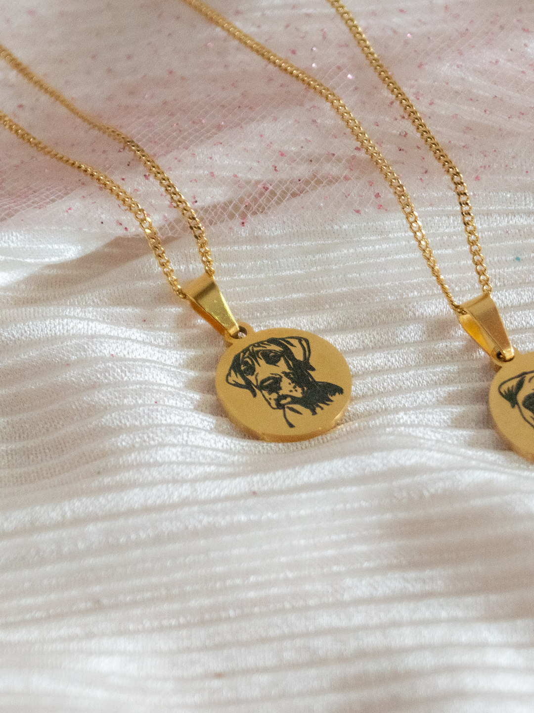 Collar Razas Mi Humano Y Yo