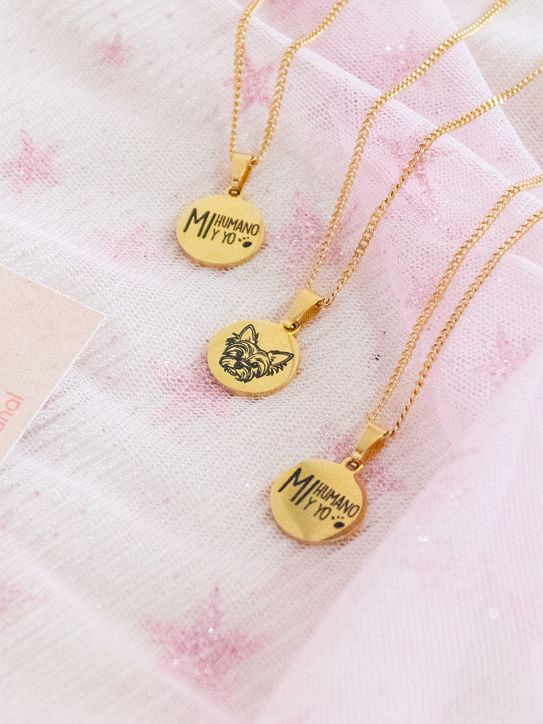 Collar Razas Mi Humano Y Yo