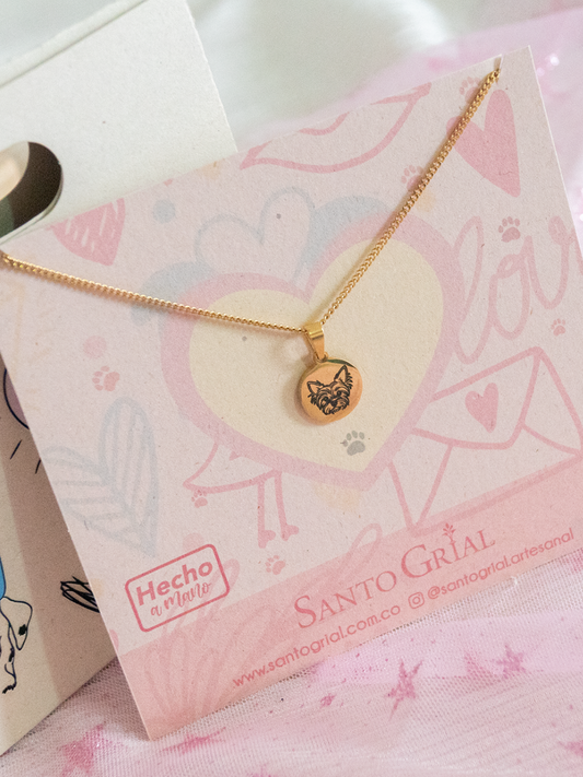 Collar Razas Mi Humano Y Yo