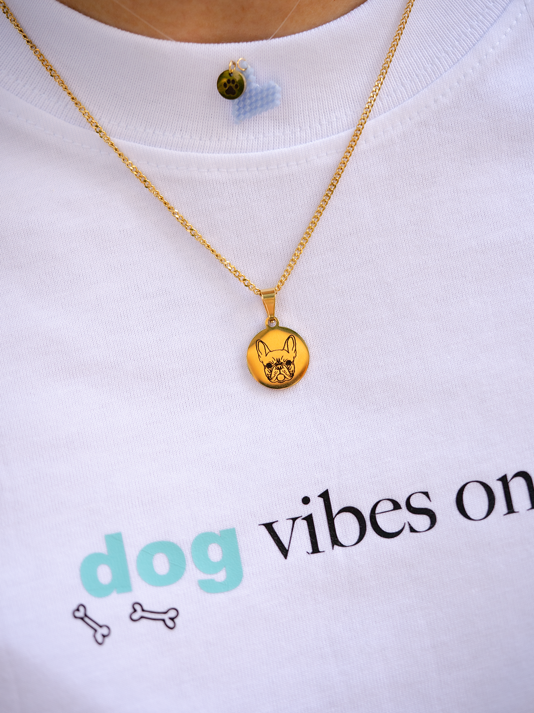 Collar Razas Mi Humano Y Yo