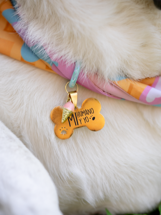 Collar Pet Charm